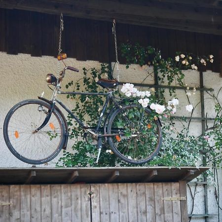 Gartenwohnung Im Gut Sonnenwald Schöllnach Extérieur photo