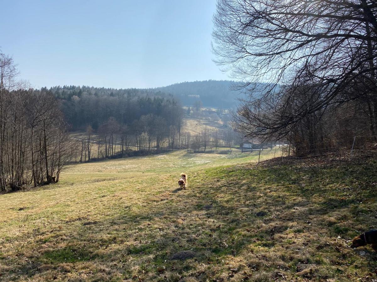 Gartenwohnung Im Gut Sonnenwald Schöllnach Extérieur photo